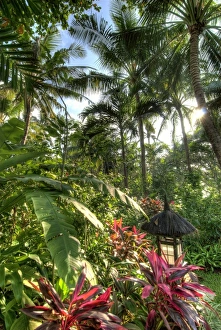 Asia, Indonesia