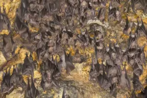 Images Dated 19th March 2014: Asia, Indonesia, Bali. Pura Goa Lawah Temple of the Bat Caves, Bali, Indonesia