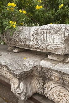 Images Dated 29th April 2010: Asia, Israel