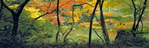 Asia, Japan
