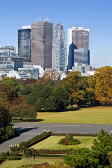 Images Dated 19th November 2008: Asia, Japan