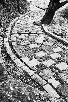 Cobble Stone Prints: Asia, Japan, Hakone. Walkway by Lake Ashinoko
