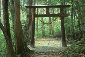 Torii Prints: Asia, Japan, Kagoshima, Yakushima, Mountain Shrine