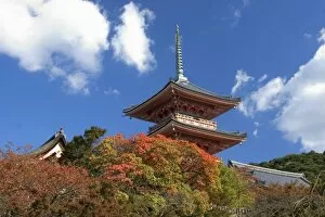 Images Dated 15th November 2006: Asia, Japan, Kyoto, Autumn Colour