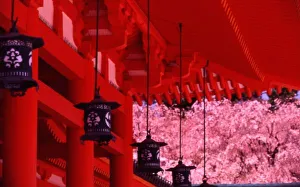 Shin Terada Prints: Asia, Japan, Kyoto, Heian shrine in spring. Shinto
