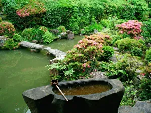 Images Dated 9th June 2006: Asia, Japan, Kyoto. Zen Garden
