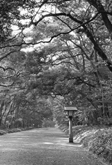 Asia, Japan, Tokyo, Grounds of Meiji Shrine, Black and white image