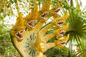 Images Dated 15th March 2007: Asia, Laos