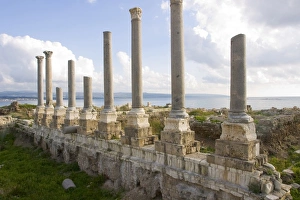 Images Dated 9th March 2003: Asia, Lebanon
