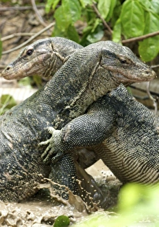 Asia, Malaysia