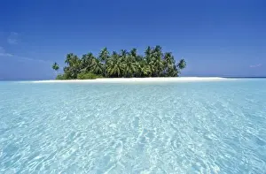 Uninhabited Prints: ASIA, Maldives, Ari Atoll, Uninhabited Tropical Island