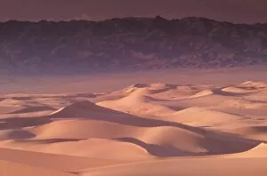 Asia, Mongolia, Gobi Desert, Gobi Gurvansaikhan NP. Khongoryn sand dunes