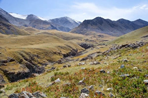 Asia, Mongolia, Western Mongolia, Bayan Olgii Province, Gashuun Suhayt. River valley