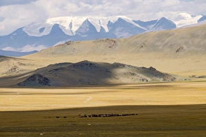 Images Dated 20th August 2015: Asia, Mongolia, Western Mongolia