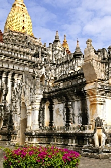 Images Dated 23rd December 2007: Asia, Myanmar, Burma