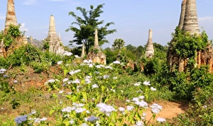 Images Dated 26th December 2007: Asia, Myanmar, Burma