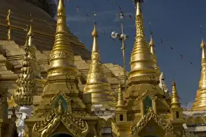 Images Dated 20th November 2008: Asia, Myanmar, Yangon. Golden stupa of Shwedagon Pagoda
