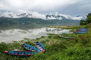 Lily Prints: Asia, Nepal, Pokhara. Boats in the water lilies on Phewa Lake