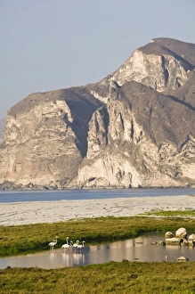Images Dated 27th February 2007: Asia, Oman