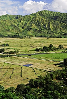 Land Prints: Asia, Philippines