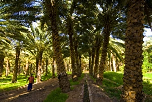 Asia, Saudi Arabia