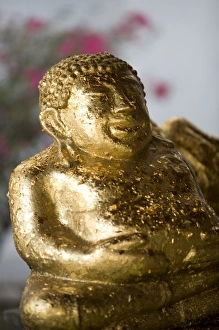 Images Dated 22nd November 2006: Asia, Thailand