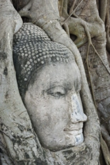 Images Dated 19th February 2006: Asia, Thailand