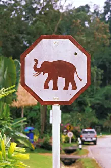 Information Prints: Asia, Thailand, Lampang. Elephant Conservation Center, elephant crossing sign