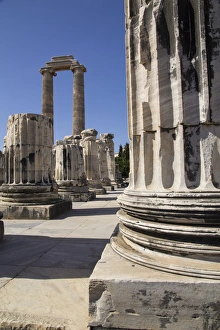 Images Dated 24th September 2014: Asia, Turkey, the Archaeological Site of Didyma ruins. Didyma, means aAtwinaa in Greek