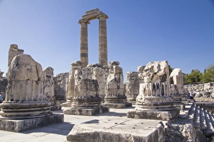 Images Dated 24th September 2014: Asia, Turkey, the Archaeological Site of Didyma ruins. Didyma, means aAtwinaa in Greek