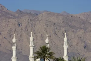 Images Dated 9th December 2008: Asia, United Arab Emirates