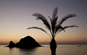 Images Dated 8th December 2008: Asia, United Arab Emirates