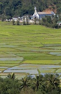 Images Dated 20th January 2009: Asia, Vietnam
