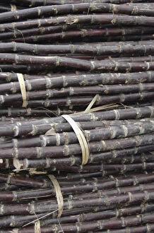 Asia, Vietnam. Bundled sugar cane for sale at the Dong Ba Market, Hue, Thua Thiena┬Ç┬ôHue