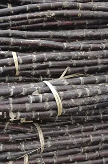 Sugar Cane Prints: Asia, Vietnam. Bundled sugar cane for sale at the Dong Ba Market, Hue, Thua Thiena'Hue