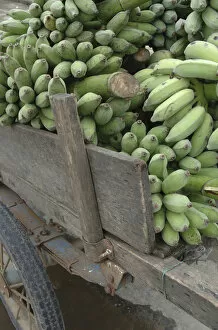 Asia, Vietnam. Green bananas on an old wooden cart, Hoi An, Quang Nam Province