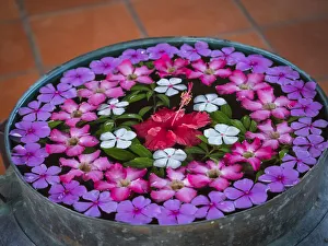 Floating Prints: Asia, Vietnam, Mui Ne. Red, white, pink, and purple flowers floating in a bowl of water