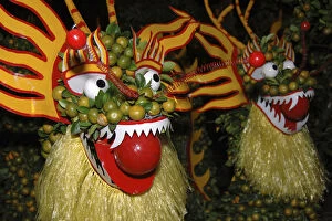 Images Dated 25th January 2006: Asia, Vietnam. Nagas made with oranges during the Tet festival, Saigon, Ho Chi Minh City