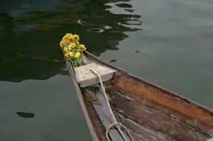Boating Prints: Asia, Vietnam. Traditional Vietnamese boat with flowers on the bow, Hoi An, Quang