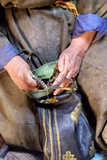 Images Dated 18th August 2015: Asia, Western Mongolia, Mongolian woman takes tea and grinder from bag to prepare