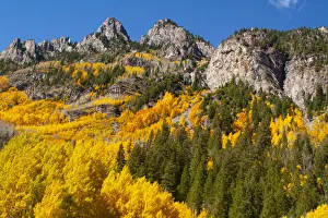 Mallorie Ostrowitz Prints: Aspen, Colorado. Maroon Bells-Snowmass Wilderness