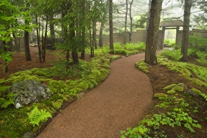 Images Dated 12th August 2015: Asticou Azalea Gardens in Northeast Harbor, Maine. Near Acadia National Park on Mt