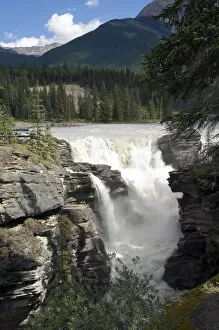 Images Dated 16th August 2005: Athabasca Falls, Jasper National Park Alberta, Canada