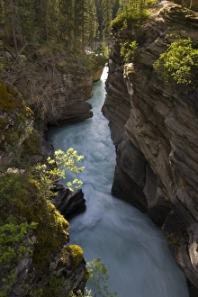 Athabasca Prints: Athabasca River in Jasper National Park, Alberta, Canada