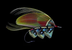 Still Life Prints: Atlantic Salmon Fly designs