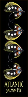 Images Dated 21st August 2019: Atlantic Salmon Fly designs
