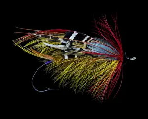 Atlantic Salmon Fly designs