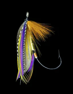 Still Life Prints: Atlantic Salmon Fly designs B. P