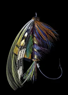 Atlantic Salmon Prints: Atlantic Salmon Fly designs Blacker Ghost variation