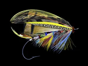Still Life Prints: Atlantic Salmon Fly designs Blacker Unknown #1